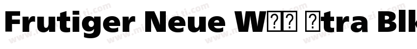 Frutiger Neue W01 Xtra Blk It字体转换